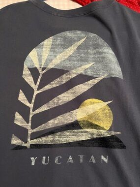 American Eagle Outfitters Men’s Slate Blue Graphic Pocket Tee